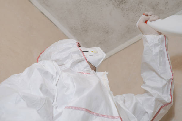 Best Emergency Mold Removal  in Riverdale, NJ